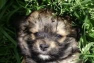 noi... - hallo..is andreea.....sau funkey - *..::All about us::..*