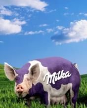 poze funny - Milka...varianta imbunatatzita - *..::Gallery::..*