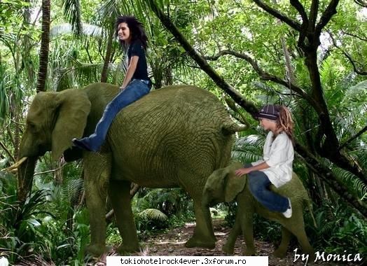 ~~poze haioase cu TH~~ - banuiesk k o stiti - *..::Bill & Tom Kaulitz::..*
