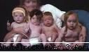 poze trucate - uitete la asta...nu mai pot de ras..da sunt ji - *..::Gallery::..*
