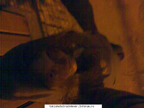 yana - seara ma uitam in copac ca iubirea mea plecase :D - *..::Me, myself & I::..*